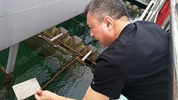 中赛管道告诉你，如何防止水池池壁长水藻？