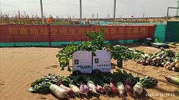 现代农业化肥过度使用的困境与郑赛沙漠改造的契机