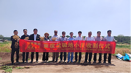 郑赛重度盐碱地小麦收割仪式